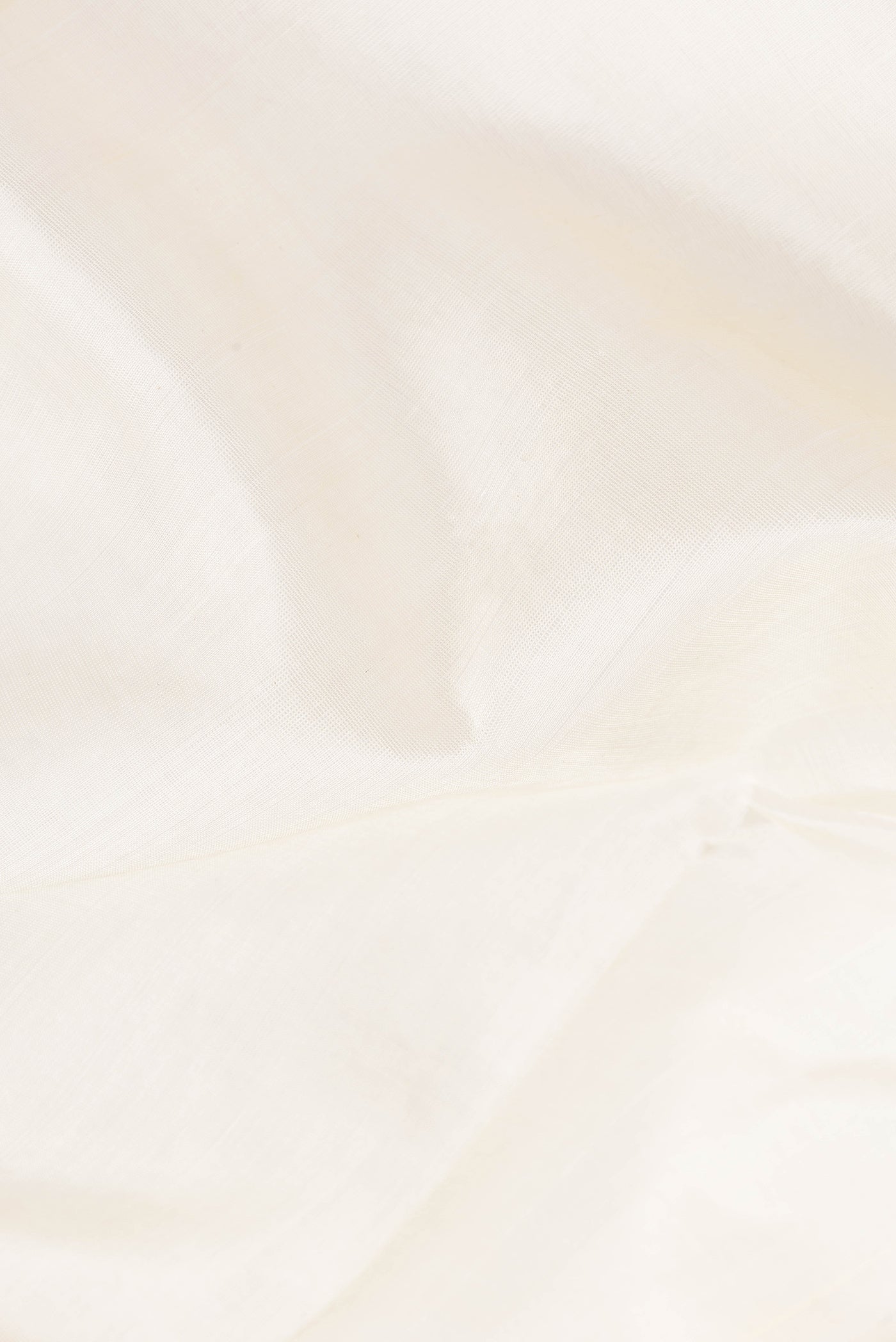 Close up of Off White Silk Cotton Saree with Plain Body and Zari Border.  displaying folds