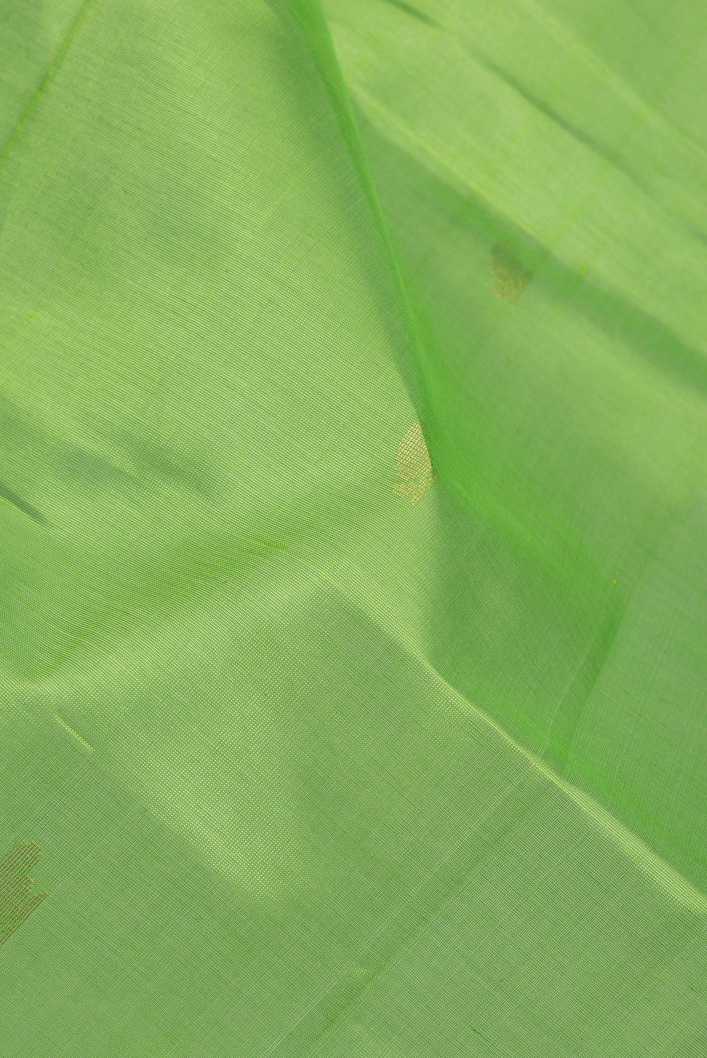 Close up of Parrot Green Silk Cotton Saree with Zari Butta on the body and Zari Border.  displaying folds