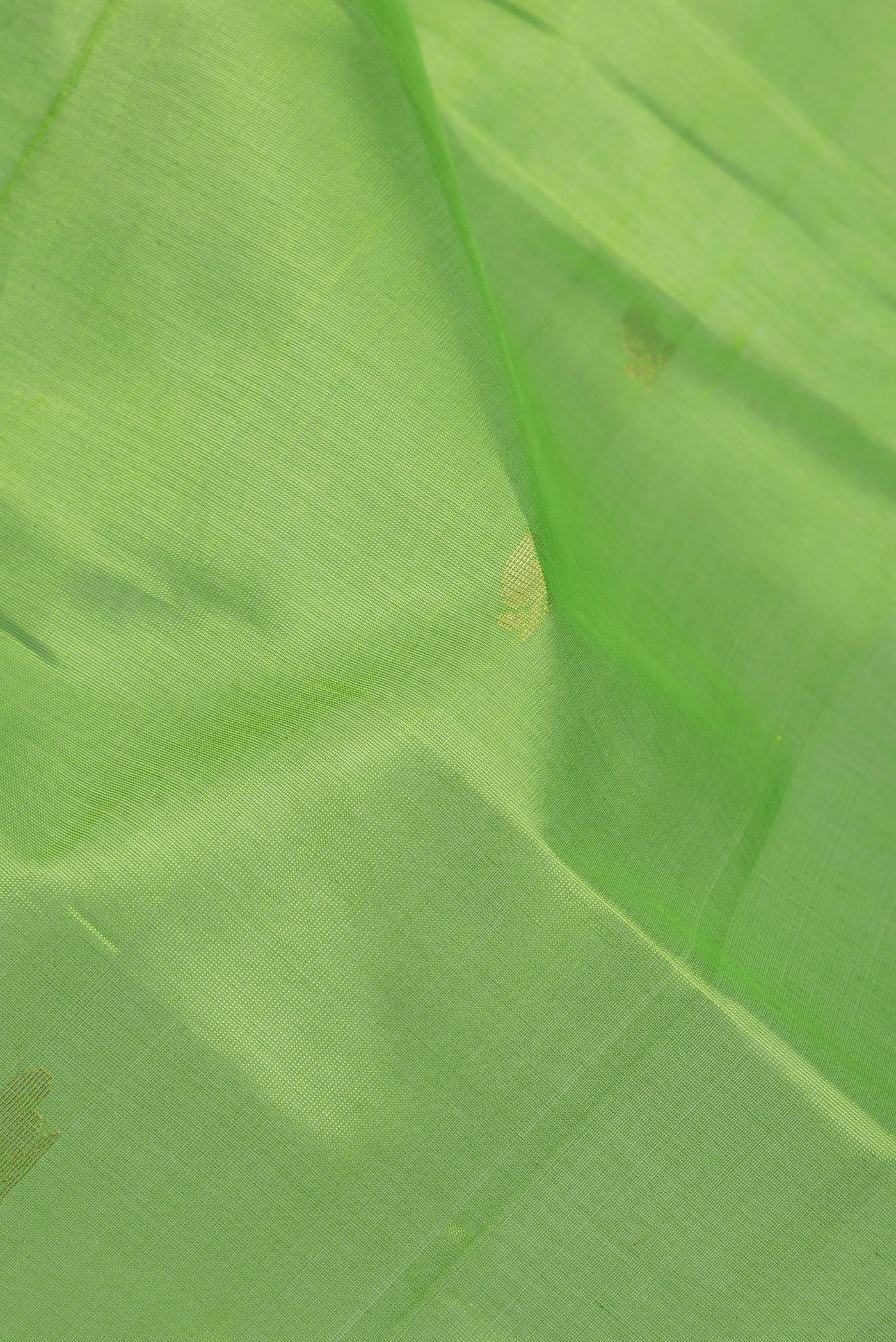 Close up of Parrot Green Silk Cotton Saree with Zari Butta on the body and Zari Border.  displaying folds