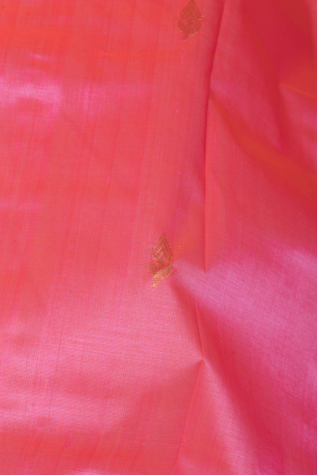 Close up of Rose pink Dual Tone Silk Cotton Saree with Zari Butta on the body and Zari Border.  displaying folds