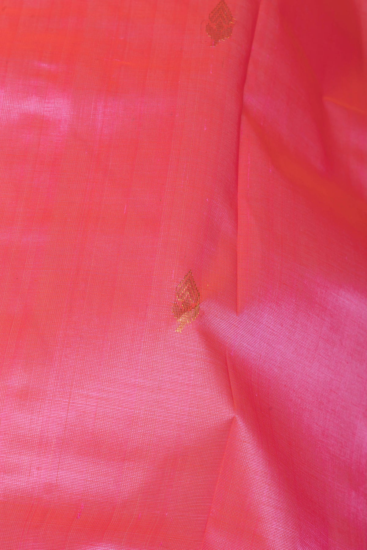 Close up of Rose pink Dual Tone Silk Cotton Saree with Zari Butta on the body and Zari Border.  displaying folds