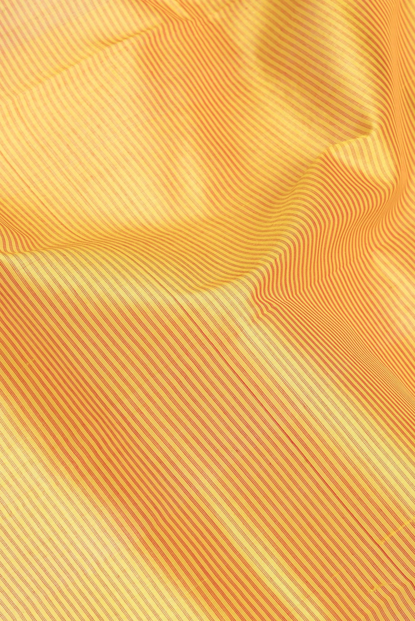 Close up of Yellow Silk Cotton Saree with Stripes on the body and Zari Border.  displaying folds