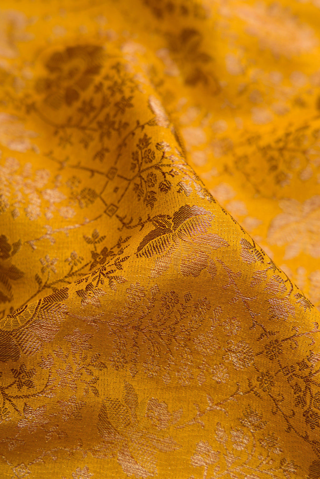 Close up of Mustard Mysore Crepe Saree with Zari Brocade on the body and Zari Border.  displaying folds