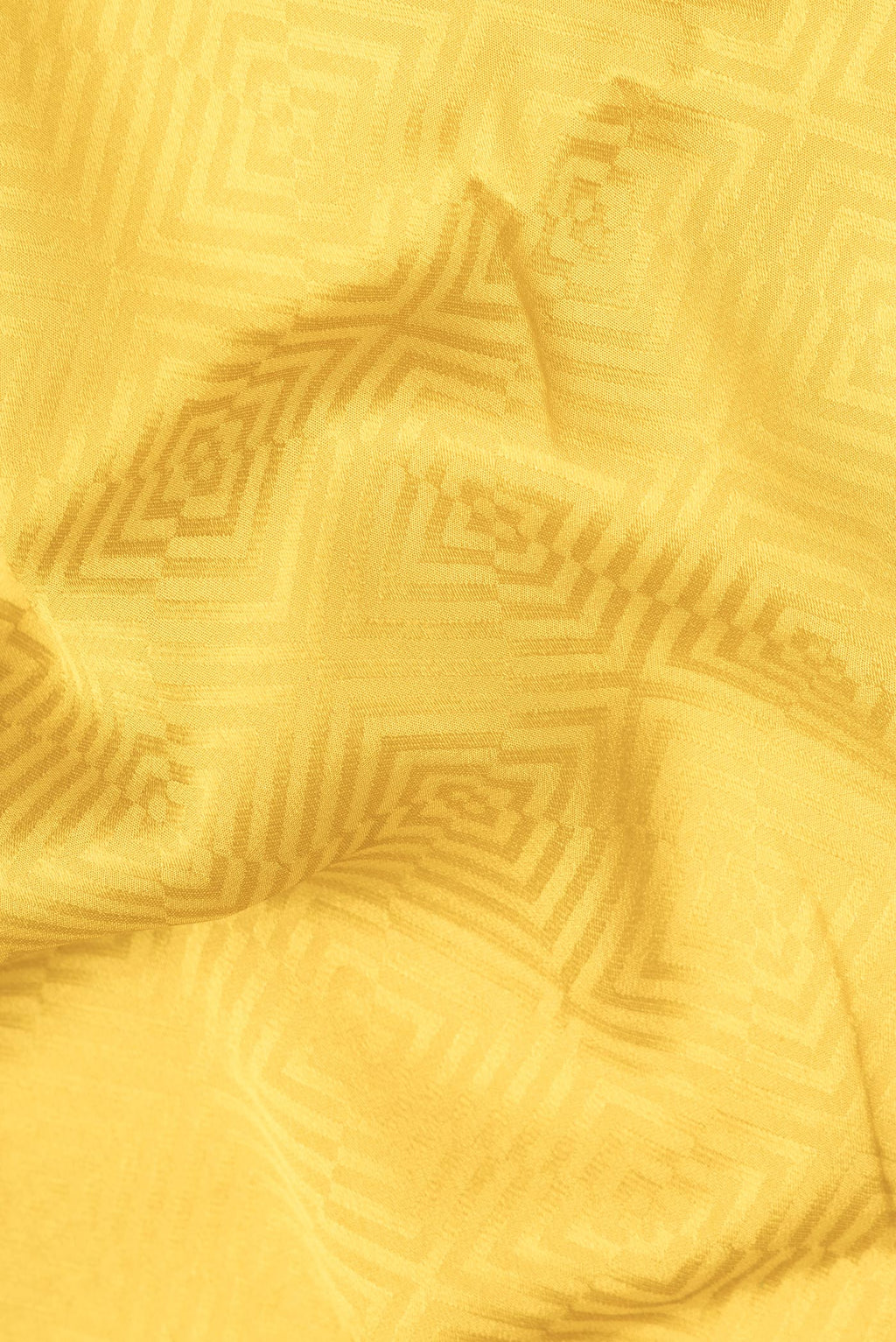 Close up of Mehandi Green Dual Tone Georgette Saree with Jacquard design on the body and Zari Border.  displaying folds