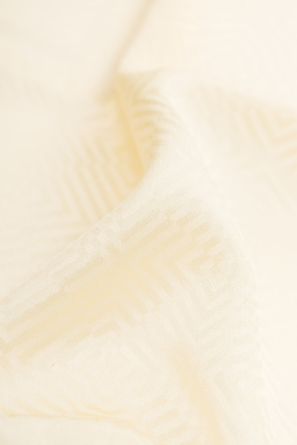 Close up of Cream Dual Tone Banarasi Georgette Saree with Jacquard design on the body and Zari Border.  displaying folds