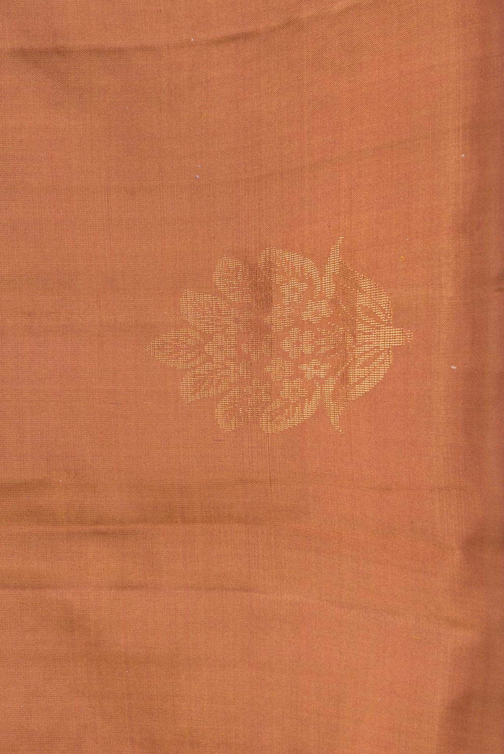 Border image of Gold Dual Tone Soft Silk Saree with Zari Butta on the body and Without Border. 