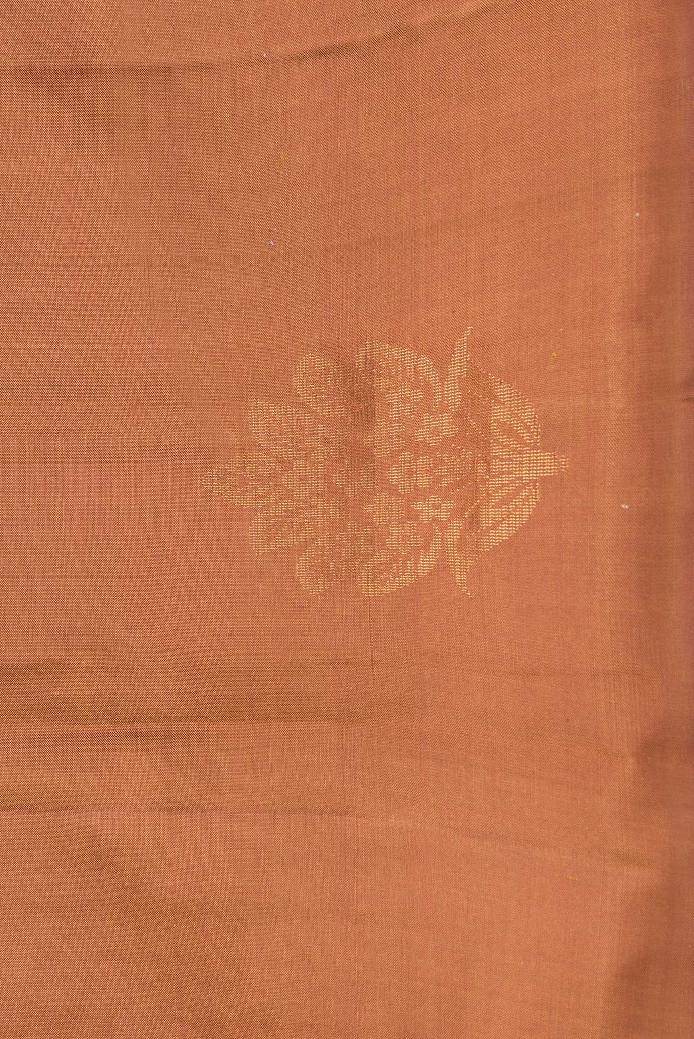 Border image of Gold Dual Tone Soft Silk Saree with Zari Butta on the body and Without Border. 