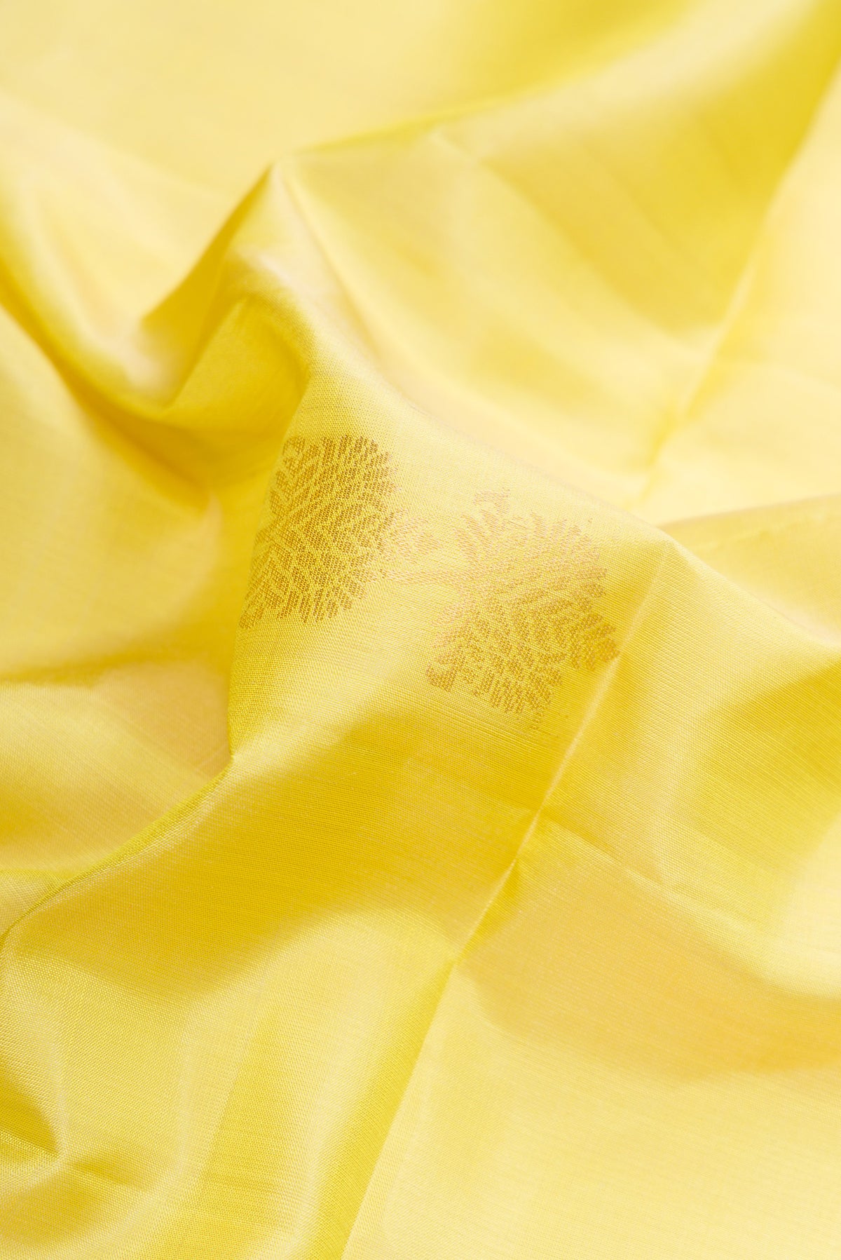 Close up of Pista Green Dual Tone Soft Silk Saree with Zari Butta on the body and Zari Border.  displaying folds