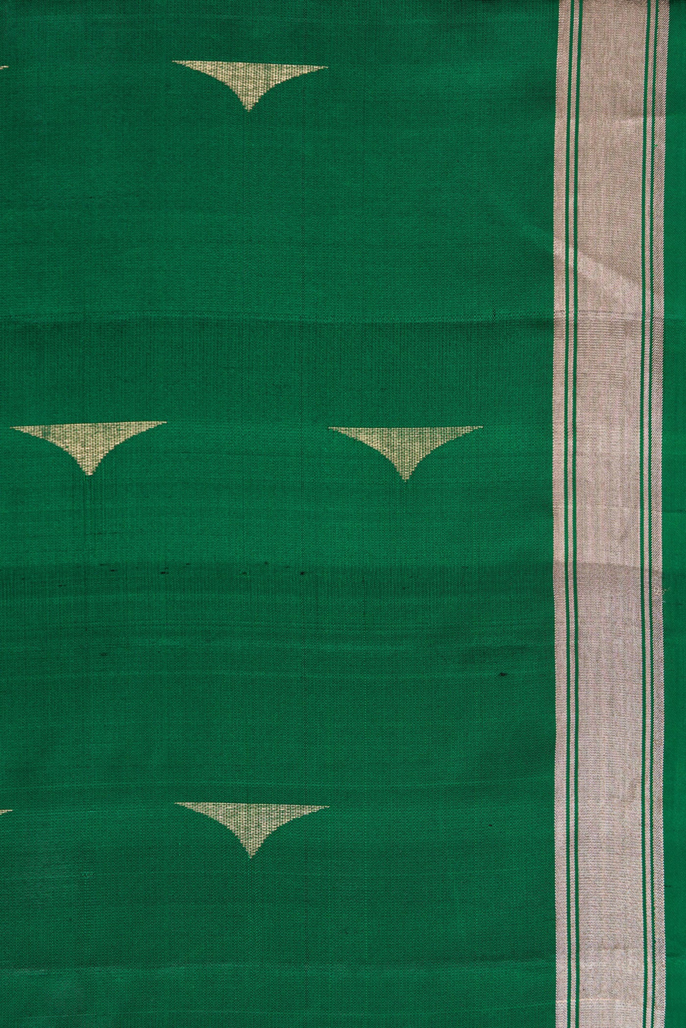 Border image of Green Dual Tone Soft Silk Saree with Zari Butta on the body and Zari Border. 
