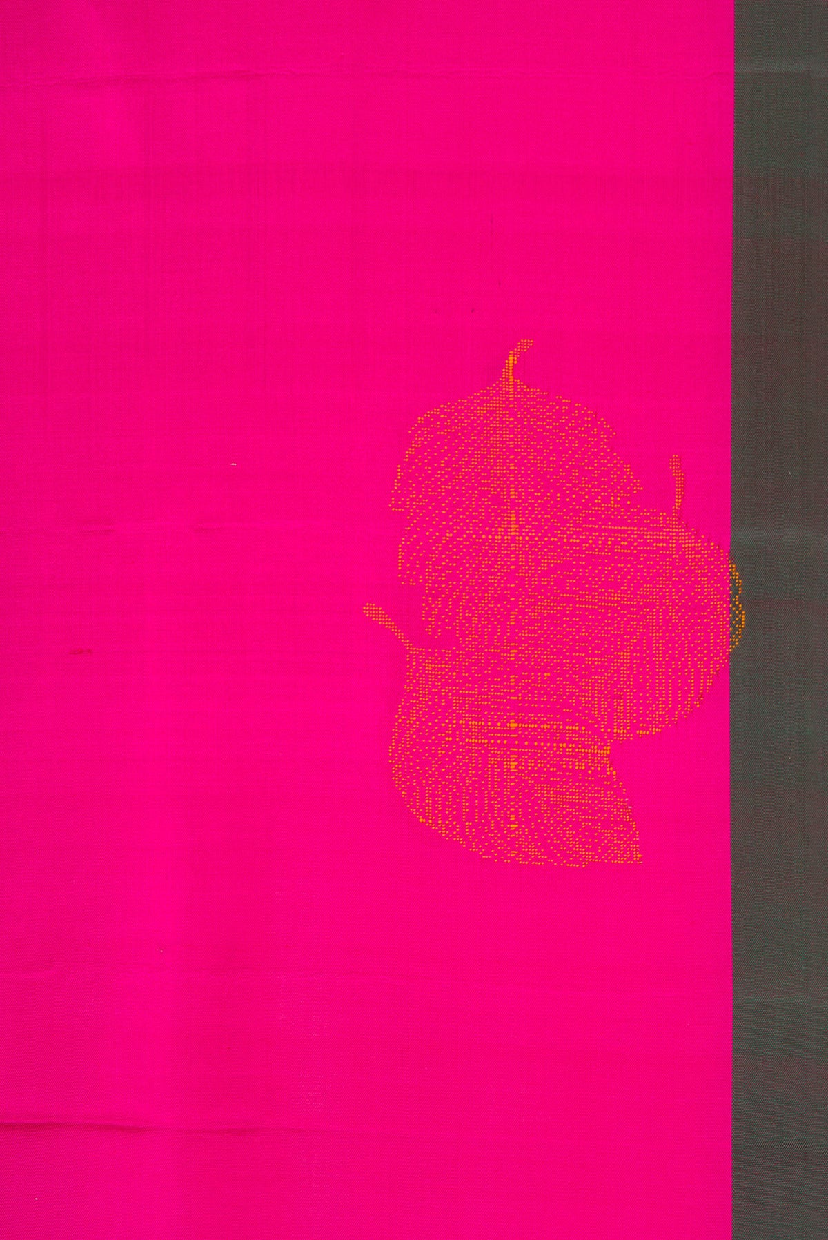 Border image of Magenta Dual Tone Soft Silk Saree with Thread Butta on the body and Plain Border. 