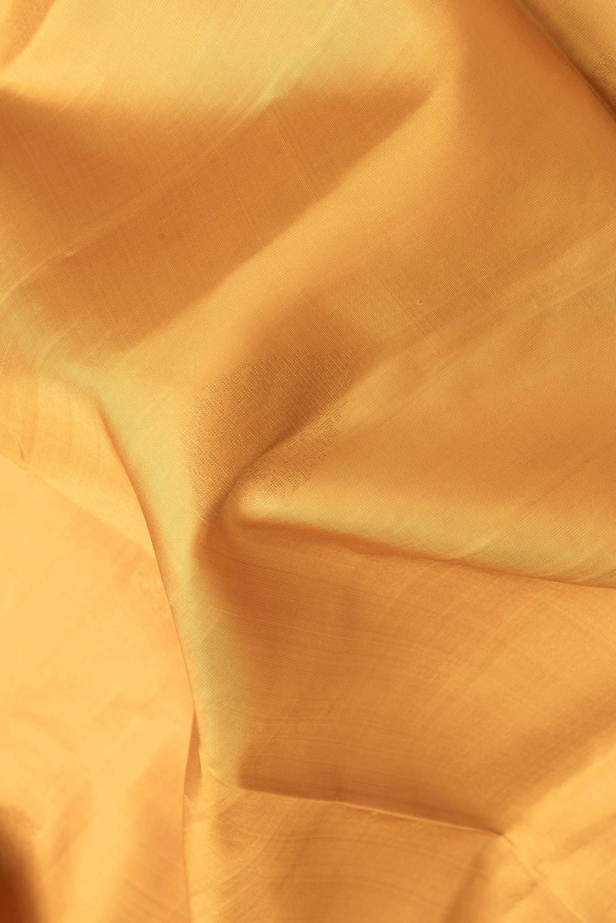 Close up of Mustard Dual Tone Soft Silk Saree with Zari Butta on the body and Zari Border.  displaying folds