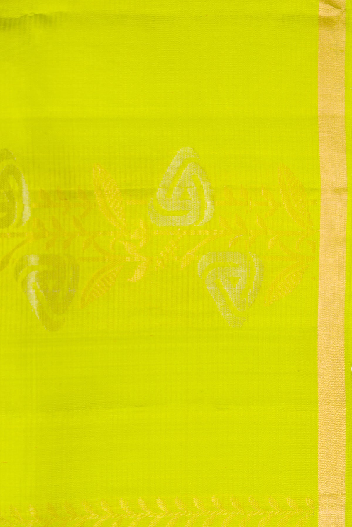 Border image of Parrot Green Dual Tone Soft Silk Saree with Zari Butta on the body and Zari Border. 