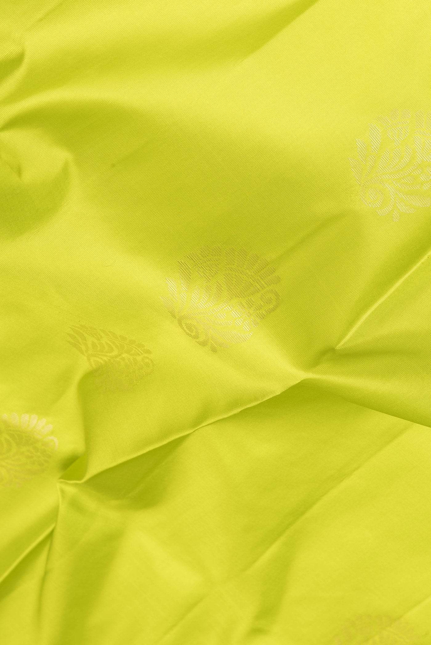 Close up of Parrot Green Soft Silk Saree with Zari Butta on the body and Fancy Border.  displaying folds