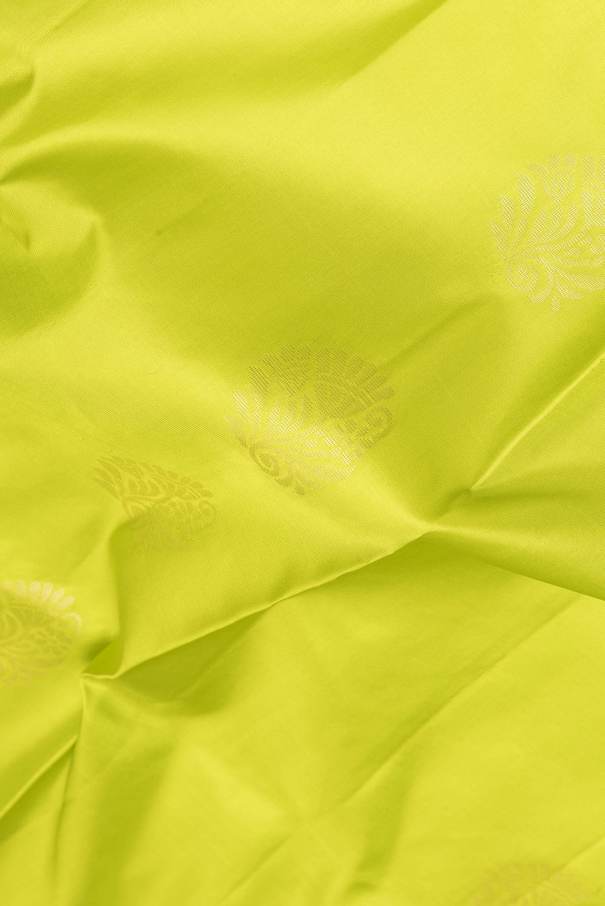 Close up of Parrot Green Soft Silk Saree with Zari Butta on the body and Fancy Border.  displaying folds