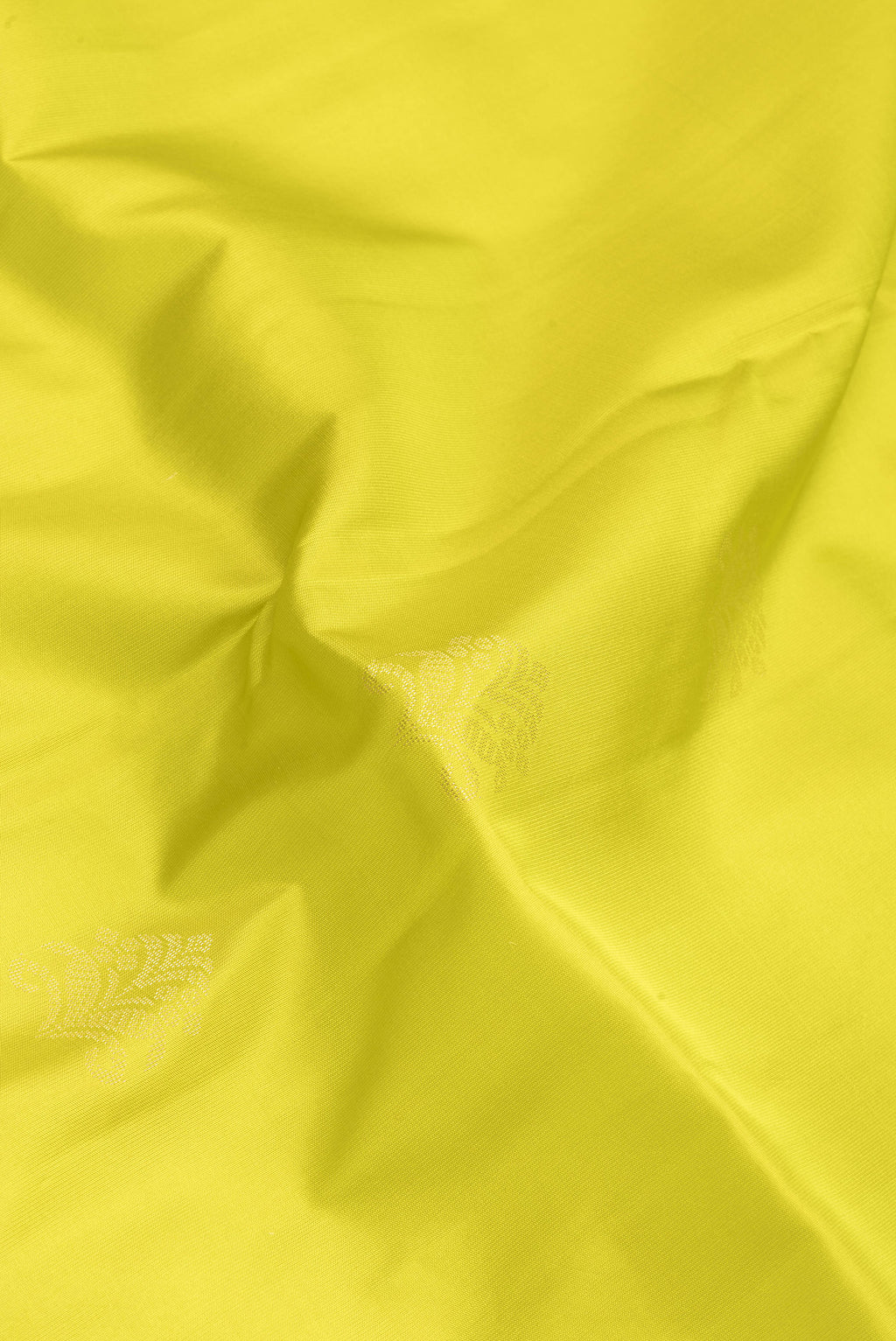 Close up of Parrot Green Soft Silk Saree with Zari Butta on the body and Fancy Border.  displaying folds