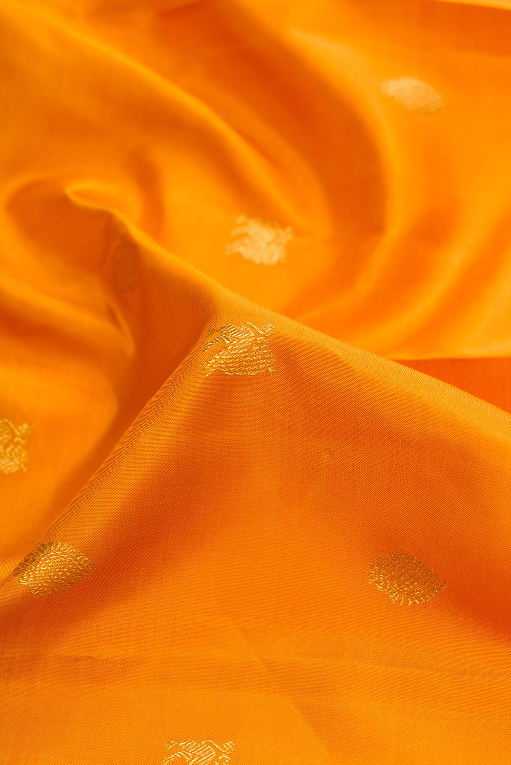 Close up of Mustard Dual Tone Kanjivaram Silk Saree with Zari Butta on the body and Zari Border.  displaying folds