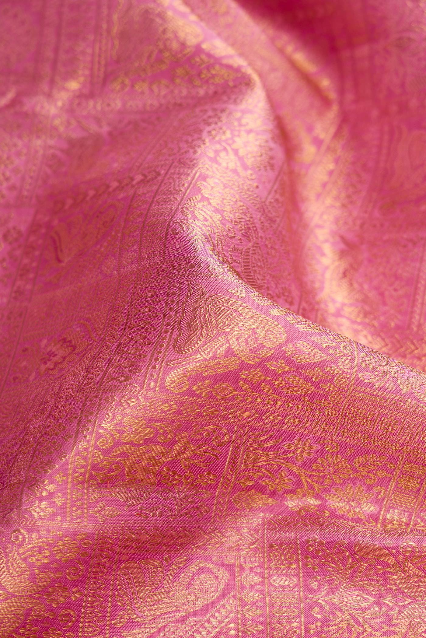 Close up of Pure Silk Pure Zari Pink Dual Tone Kanjivaram Saree with Zari Brocade on the body and Zari Border.  displaying folds