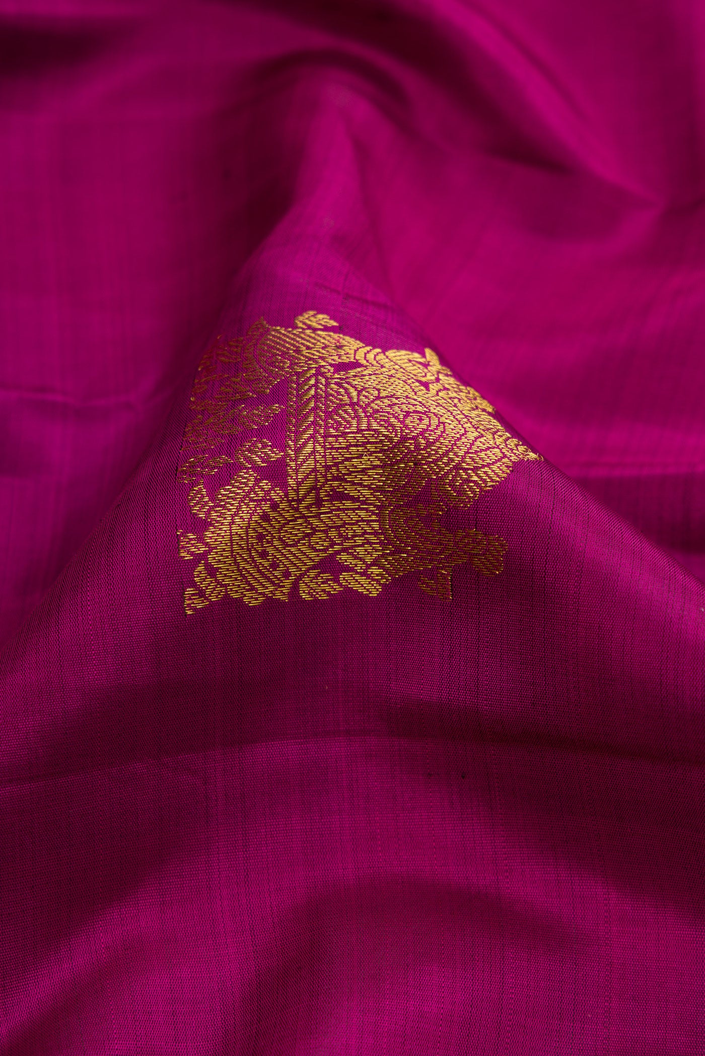 Close up of Magenta Dual Tone Kanjivaram Silk Saree with Zari Butta on the body and Zari Border.  displaying folds