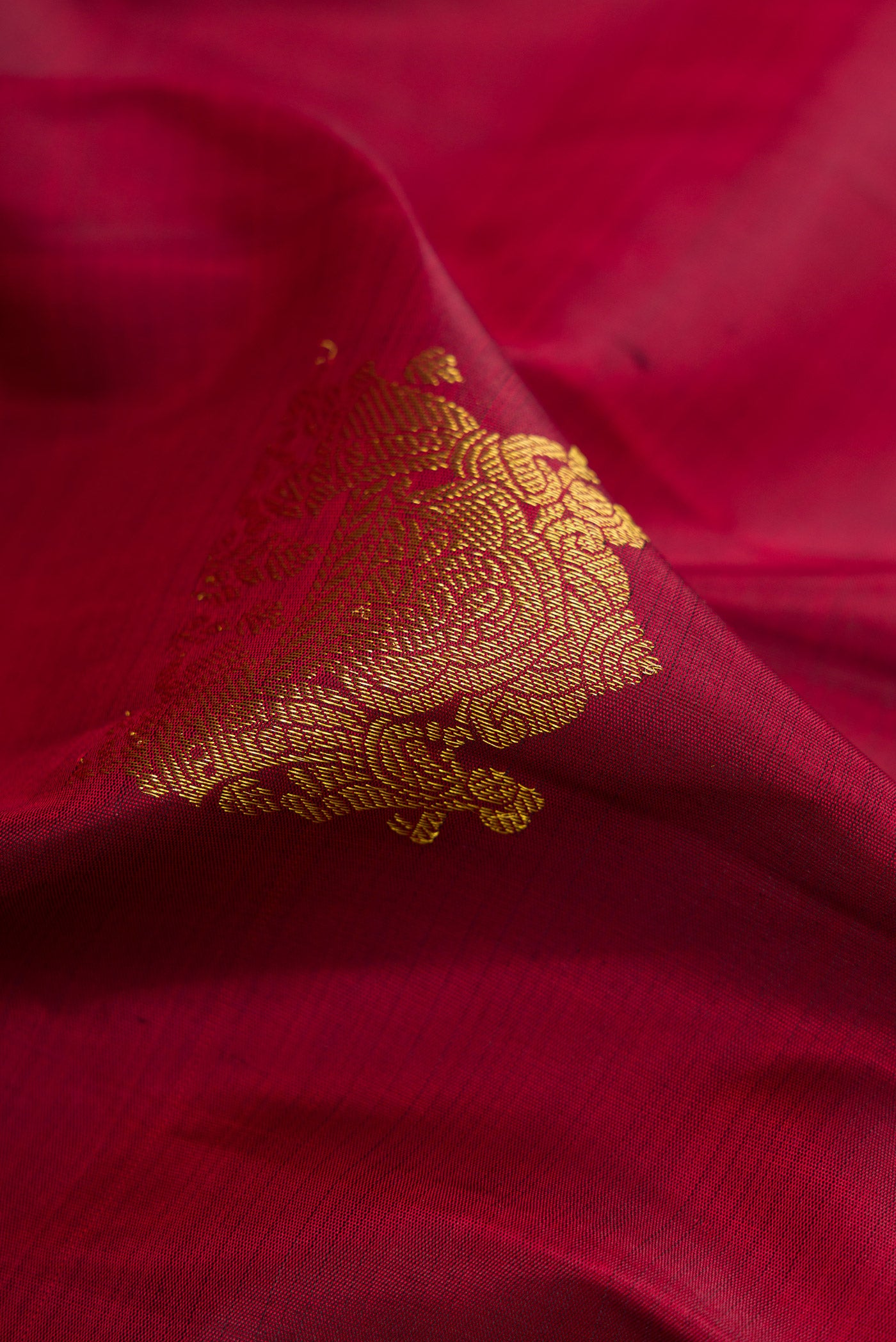 Close up of Maroon Kanjivaram Silk Saree with Zari Butta on the body and Zari Border.  displaying folds