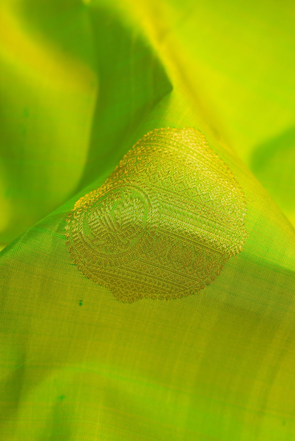 Close up of Parrot Green Dual Tone Kanjivaram Silk Saree with Zari Butta on the body and Zari Border.  displaying folds