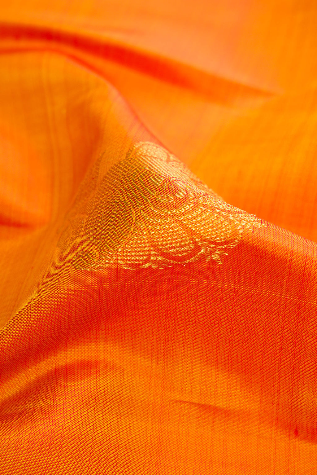 Close up of Mustard Dual Tone Kanchipuram Silk Saree with Zari Butta on the body and Zari Border.  displaying folds