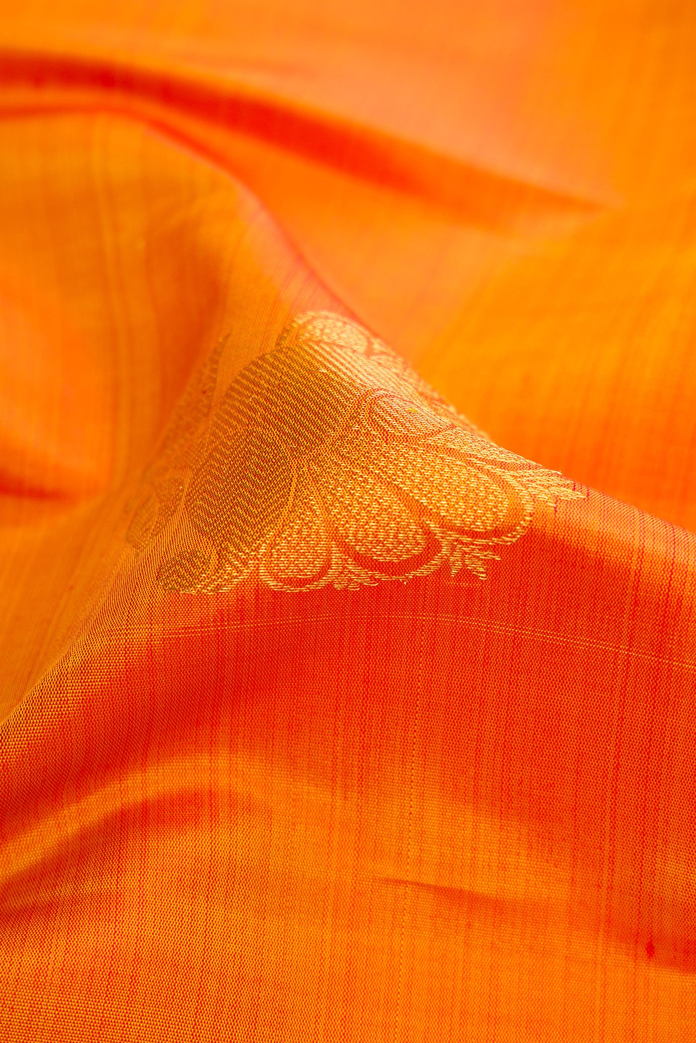 Close up of Mustard Dual Tone Kanchipuram Silk Saree with Zari Butta on the body and Zari Border.  displaying folds