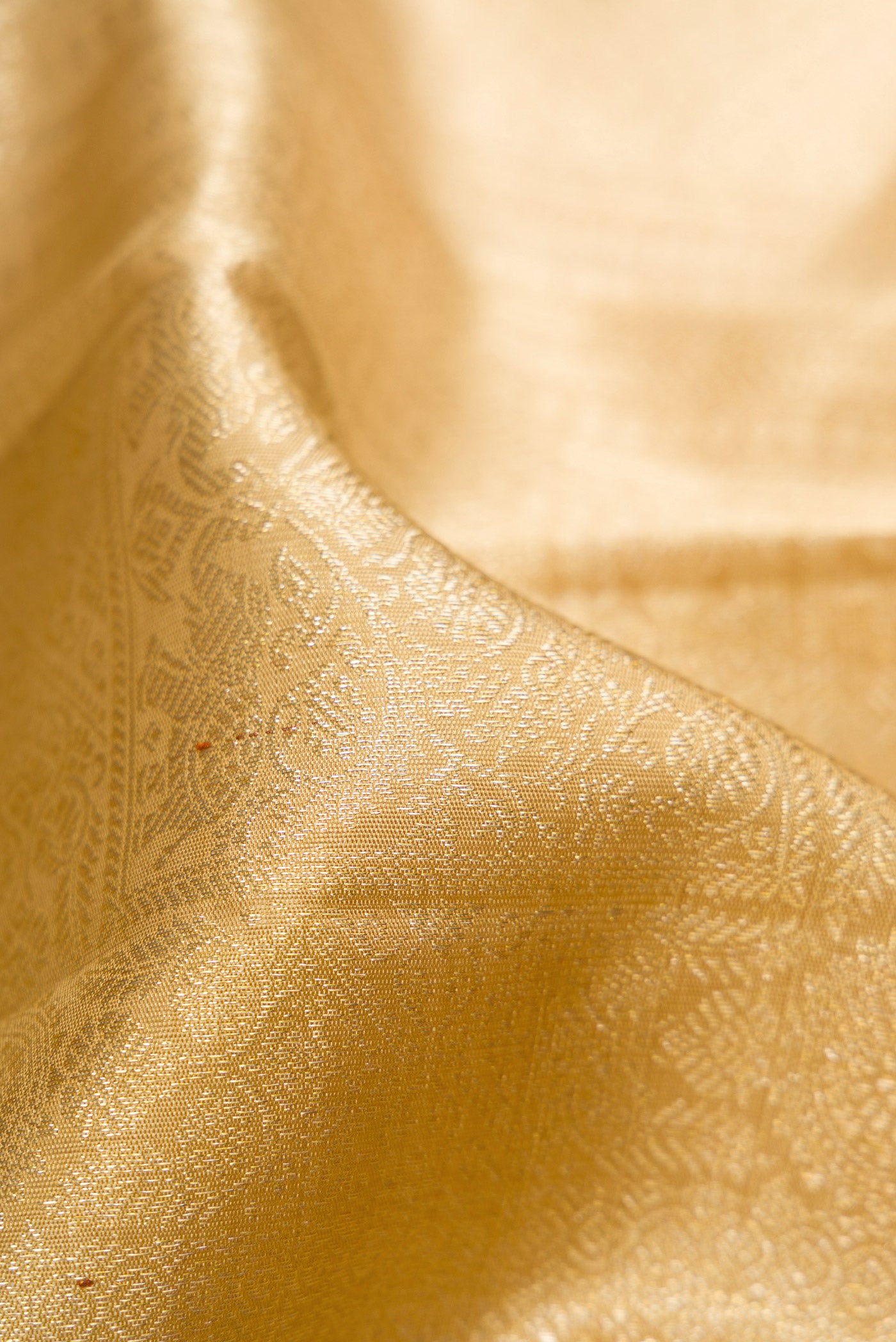Close up of Dark Beige Dual Tone Kanchipuram Silk Saree with Zari Brocade on the body and Zari Border.  displaying folds