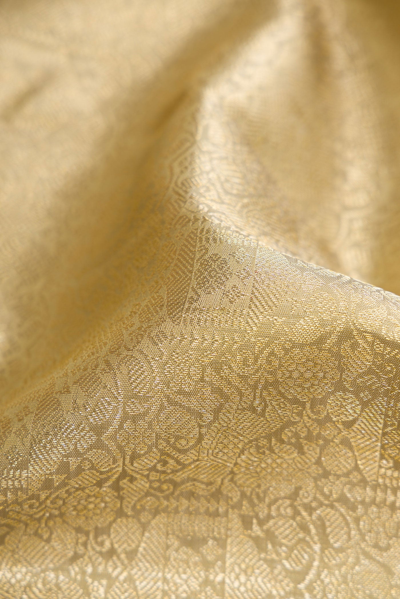 Close up of Beige Dual Tone Kanchipuram Silk Saree with Zari Brocade on the body and Zari Border.  displaying folds