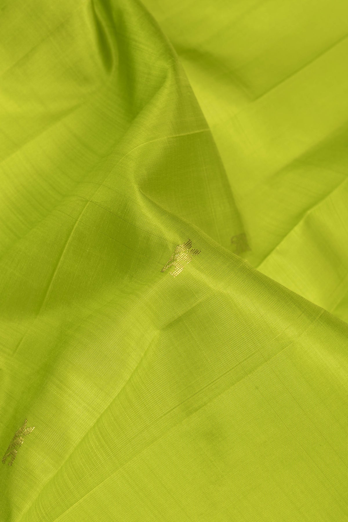 Close up of Parrot Green Kanjivaram Silk Saree with Zari Butta on the body and One Side Border.  displaying folds