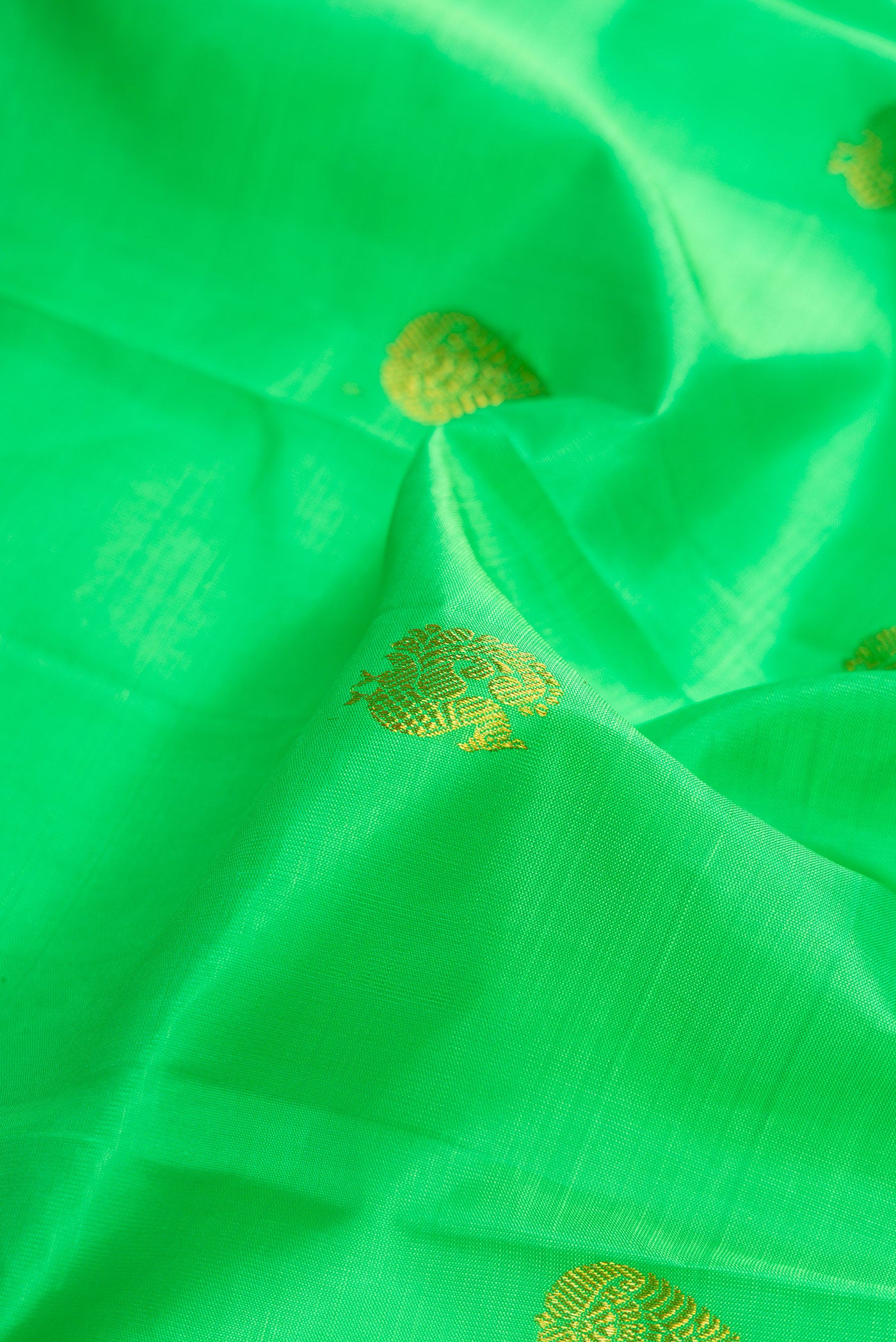 Close up of Parrot Green Kanchipuram Silk Saree with Zari Butta on the body and Zari Border.  displaying folds