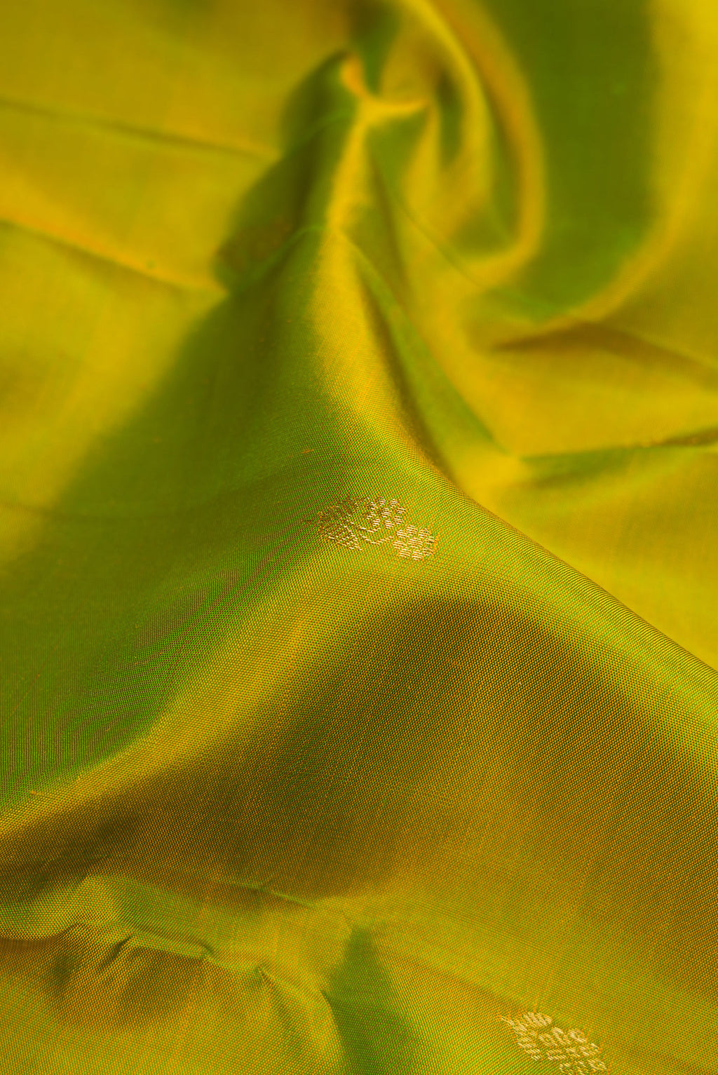 Close up of Mehandi Green Kanchipuram Silk Saree with Zari Butta on the body and Zari Border.  displaying folds