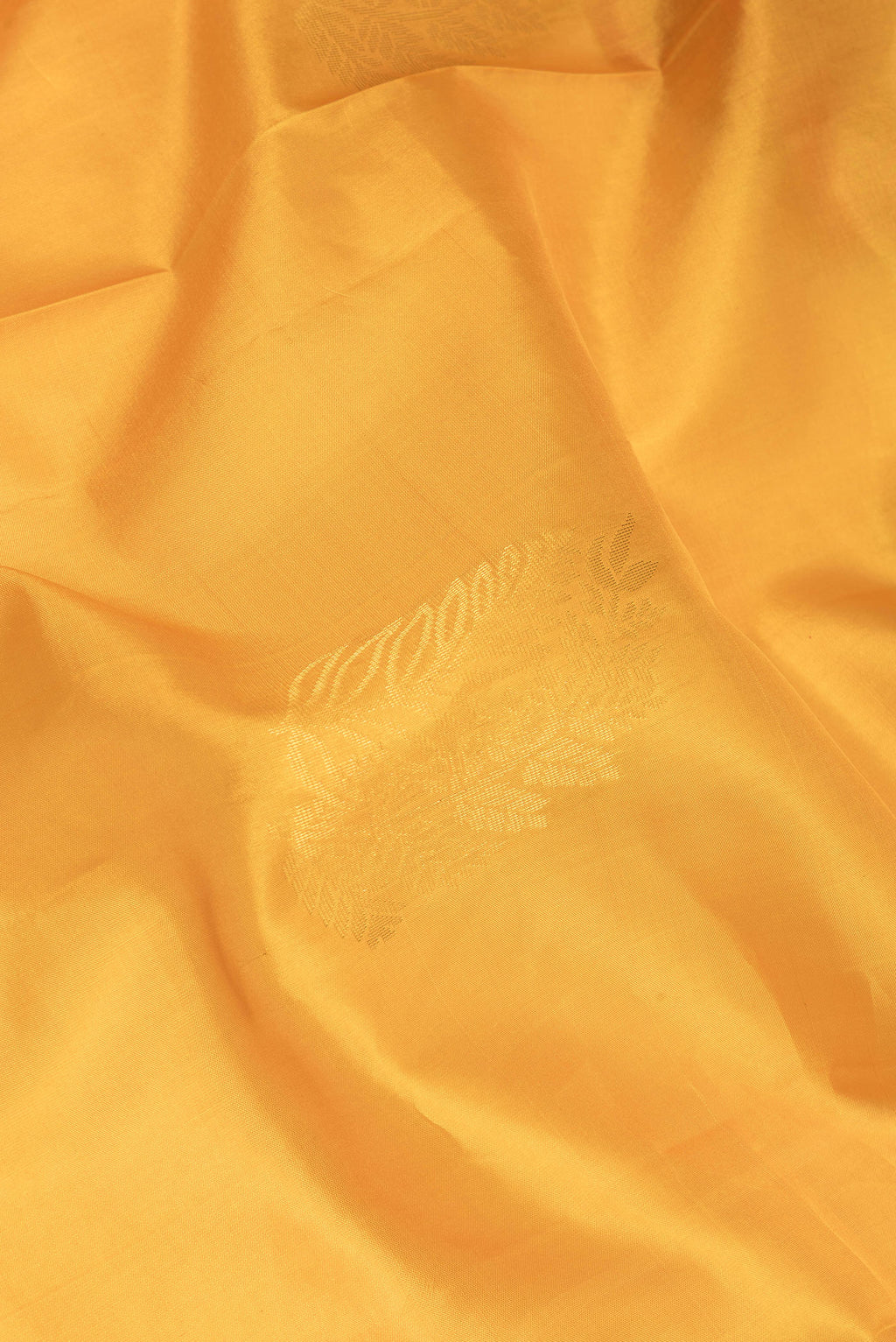 Close up of Mustard Soft Silk Saree with Zari Butta on the body and Zari Border.  displaying folds
