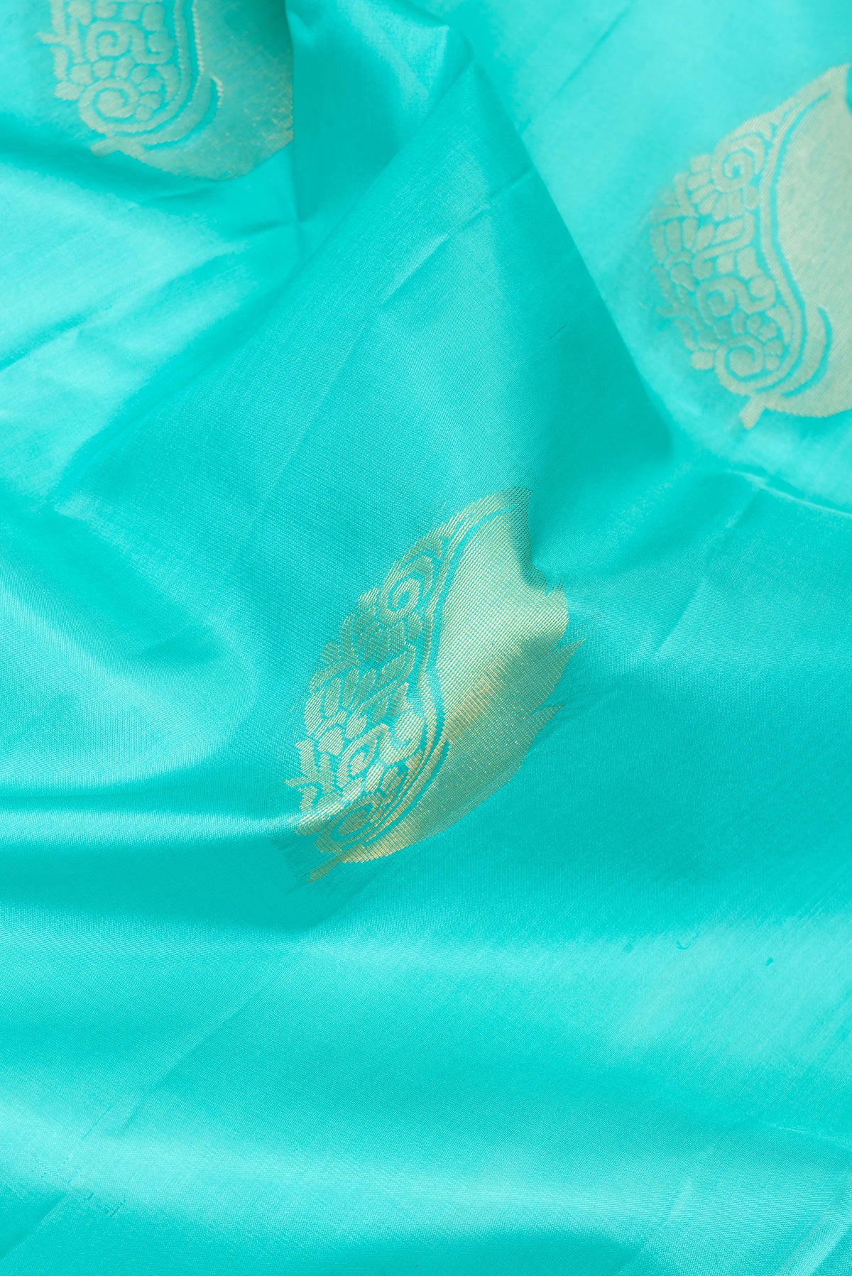 Close up of Sky Blue Soft Silk Saree with Zari Butta on the body and Fancy Border.  displaying folds