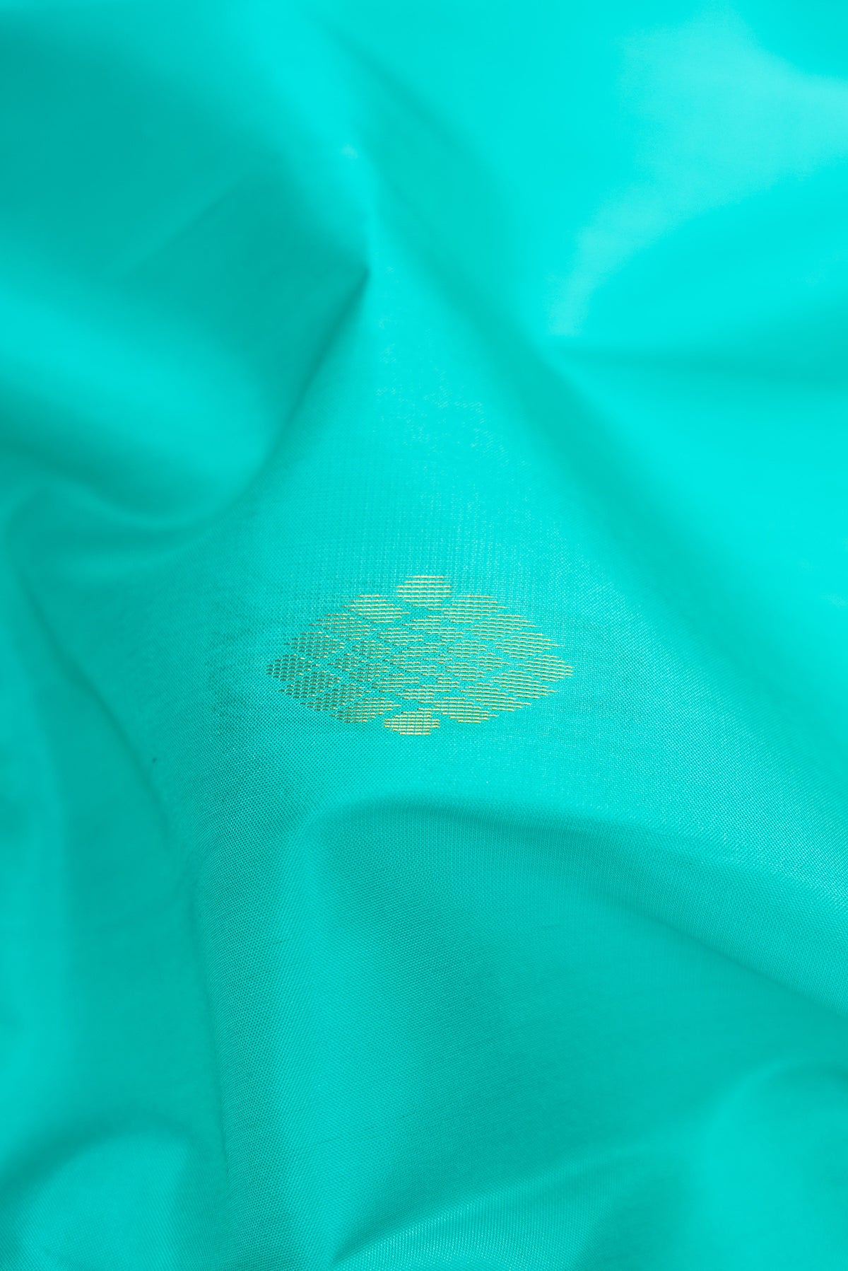 Close up of Sea Green Soft Silk Saree with Zari Butta on the body and Fancy Border.  displaying folds