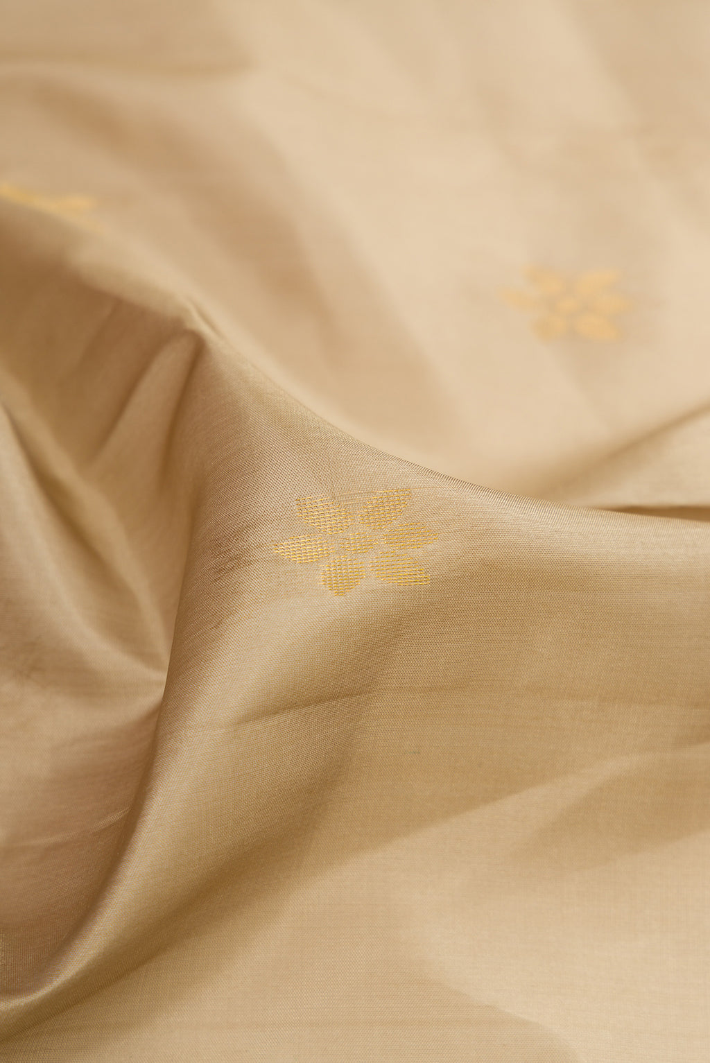 Close up of Beige Soft Silk Saree with Zari Butta on the body and Fancy Border.  displaying folds