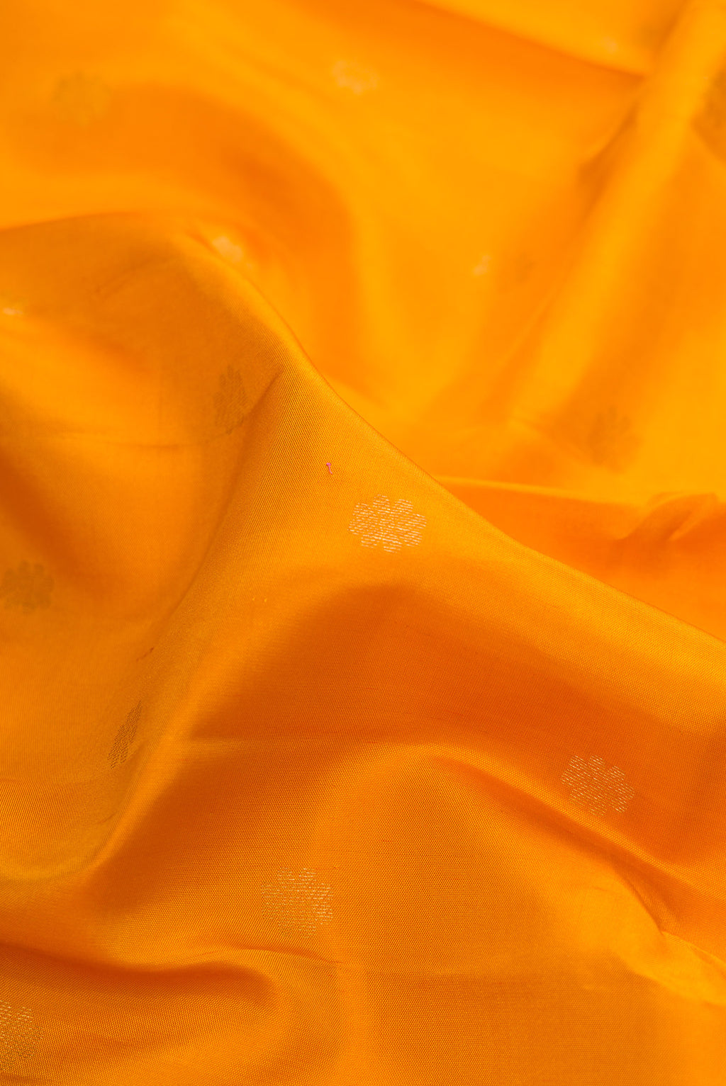 Close up of Mustard Kanjivaram Silk Saree with Zari Butta on the body and Zari Border.  displaying folds