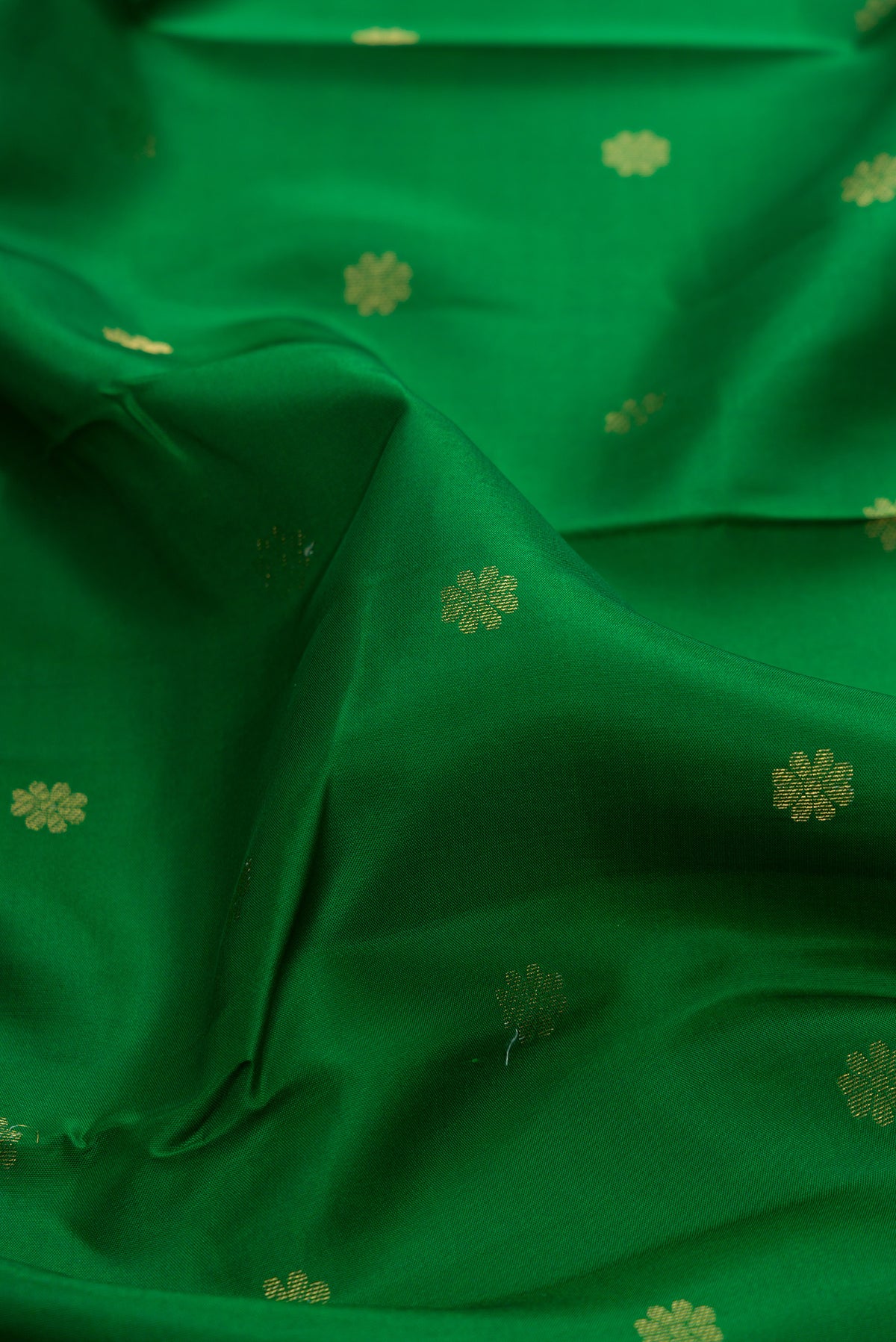 Close up of Green Kanjivaram Silk Saree with Zari Butta on the body and Zari Border.  displaying folds