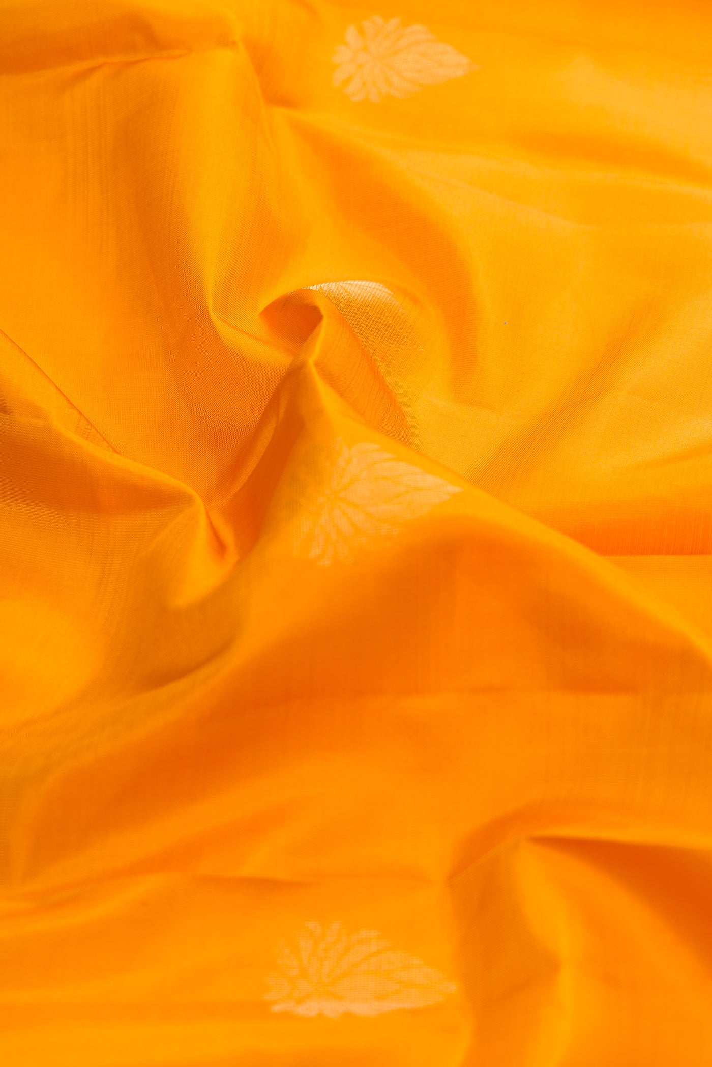 Close up of Mustard Kanchipuram Silk Saree with Zari Butta on the body and Zari Border.  displaying folds