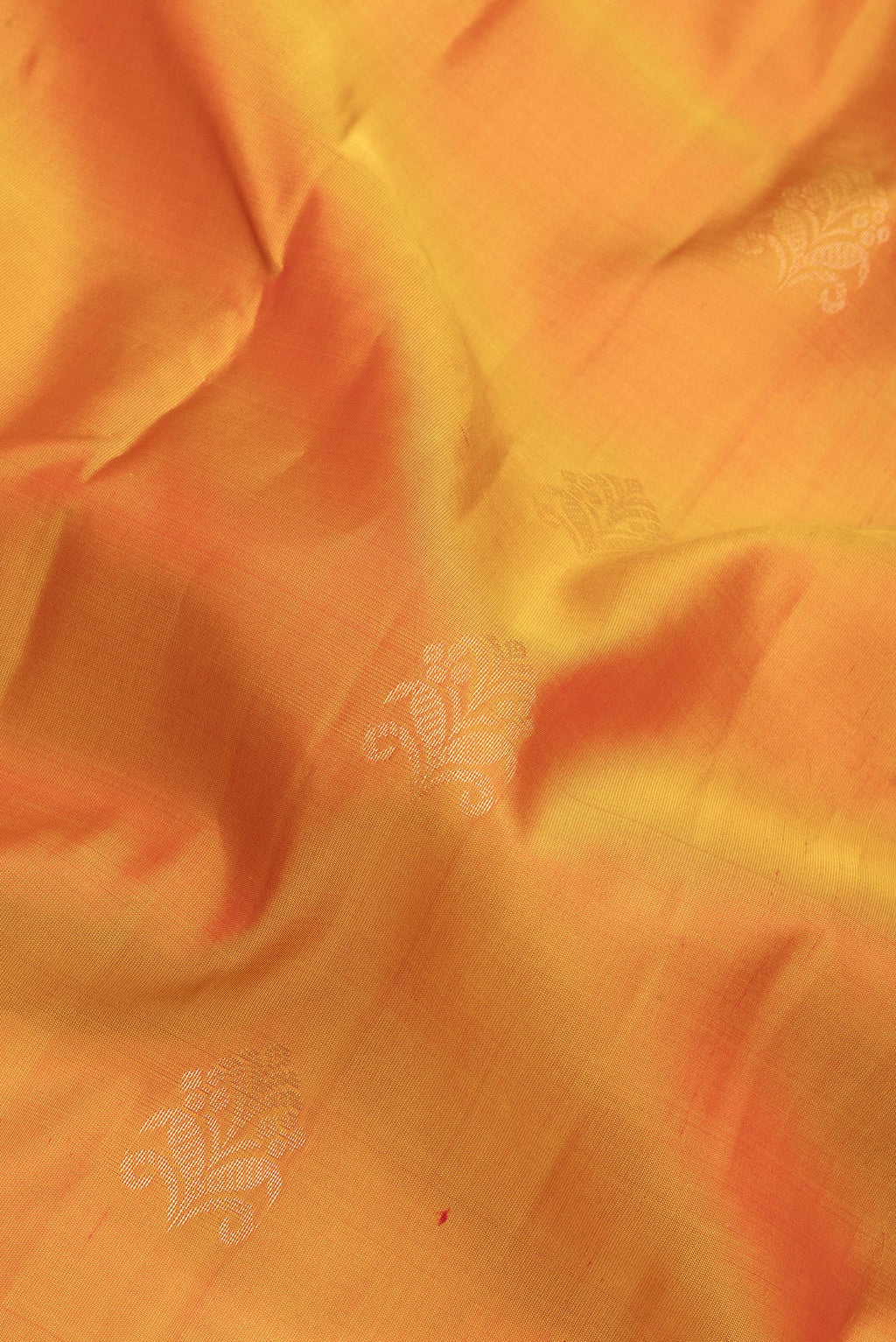 Close up of Mustard Soft Silk Saree with Zari Butta on the body and Fancy Border.  displaying folds