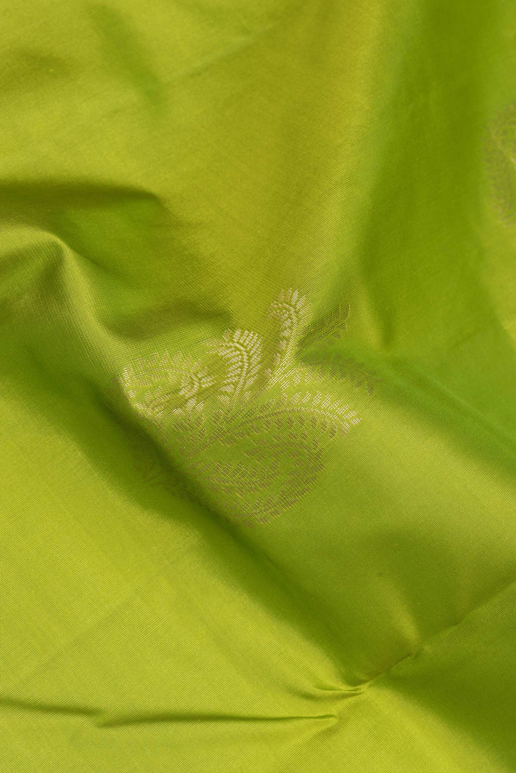 Close up of Parrot Green Soft Silk Saree with Zari Butta on the body and Zari Border.  displaying folds