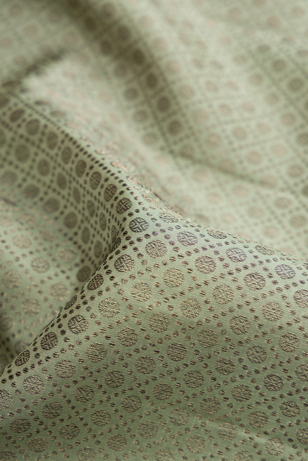 Close up of Light Green Dual Tone Kanjivaram Silk Saree with Jacquard design on the body and Zari Border.  displaying folds