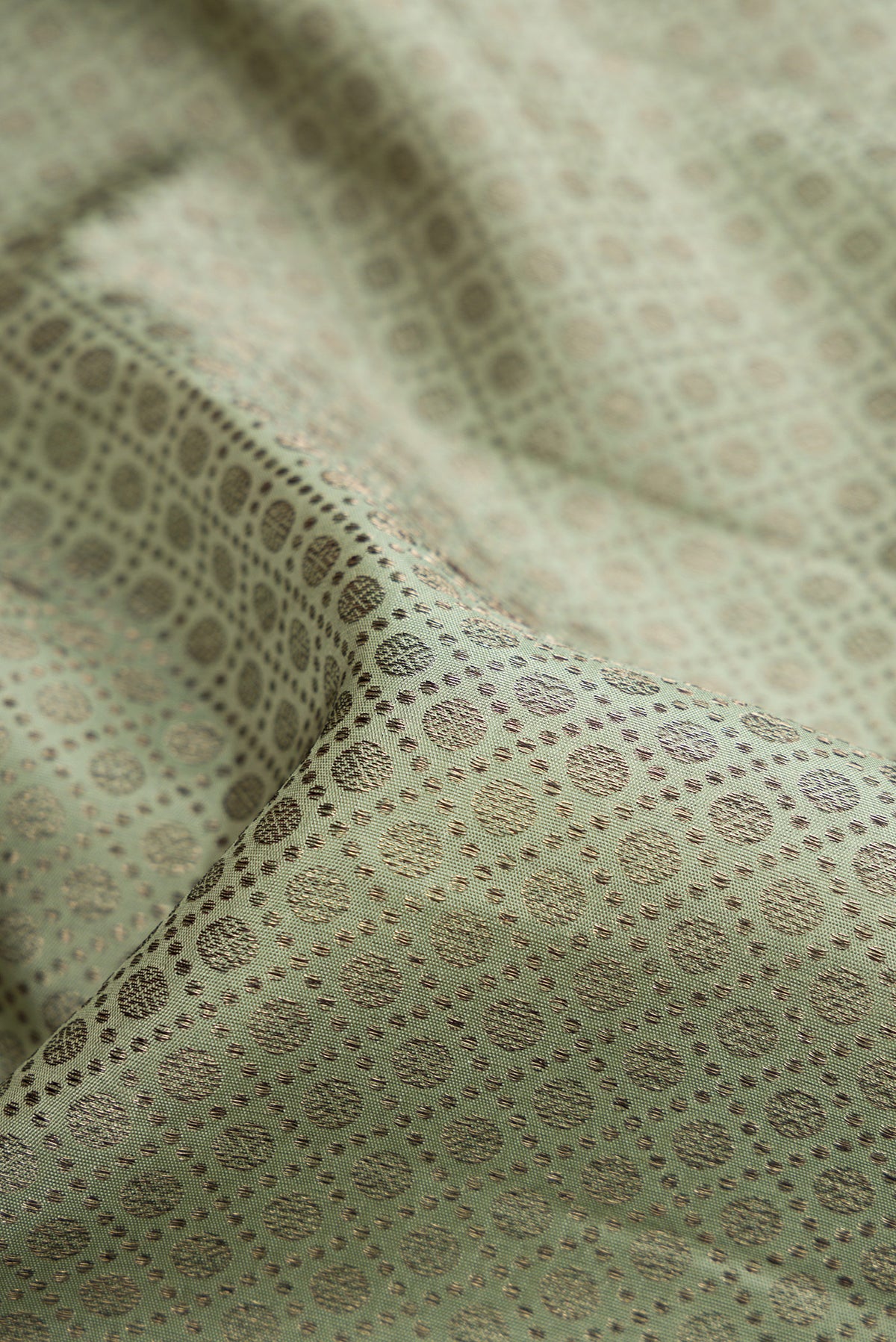 Close up of Light Green Dual Tone Kanjivaram Silk Saree with Jacquard design on the body and Zari Border.  displaying folds