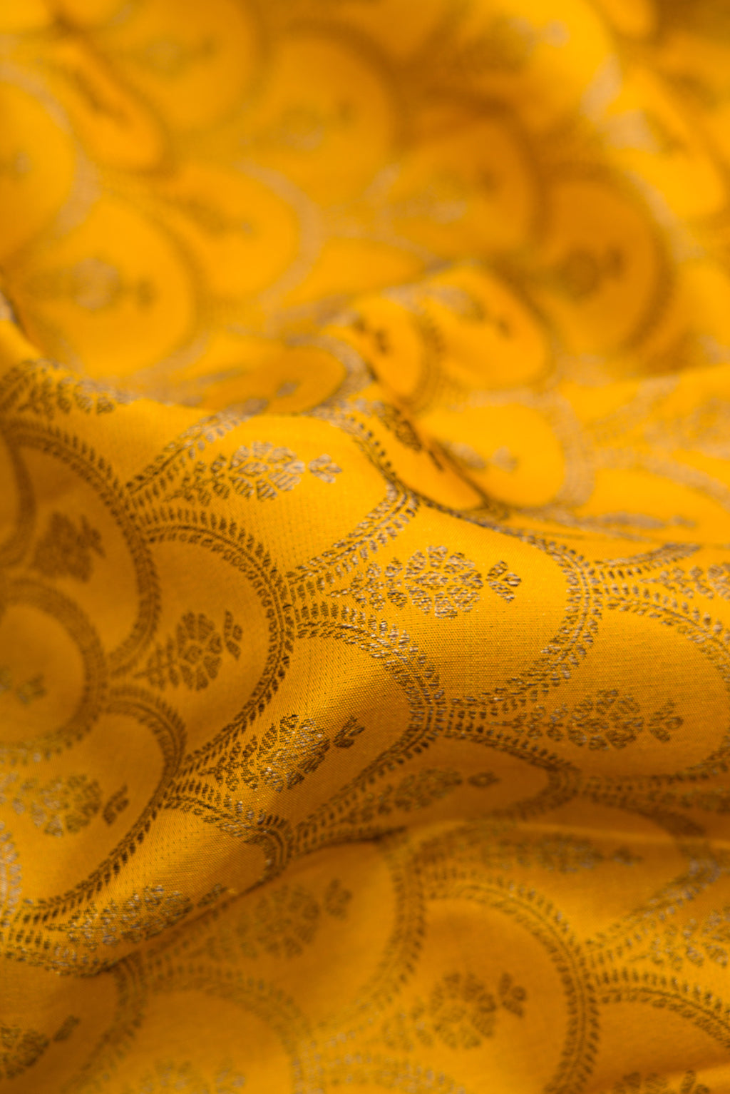 Close up of Mustard Kanjivaram Silk Saree with Jacquard design on the body and Fancy Border.  displaying folds