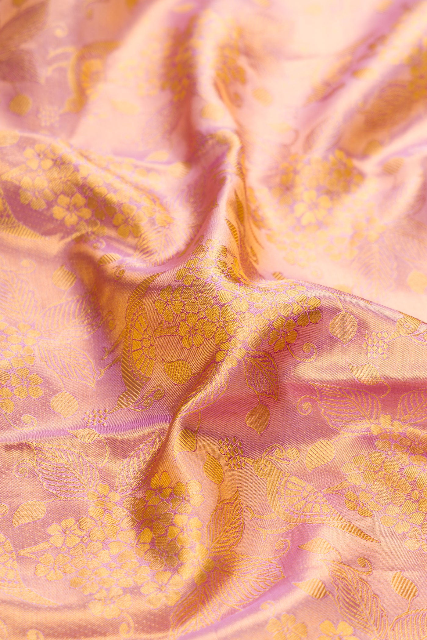 Close up of Rose Gold Dual Tone Kanchipuram Tissue Silk Saree with Zari Brocade on the body and Zari Border.  displaying folds