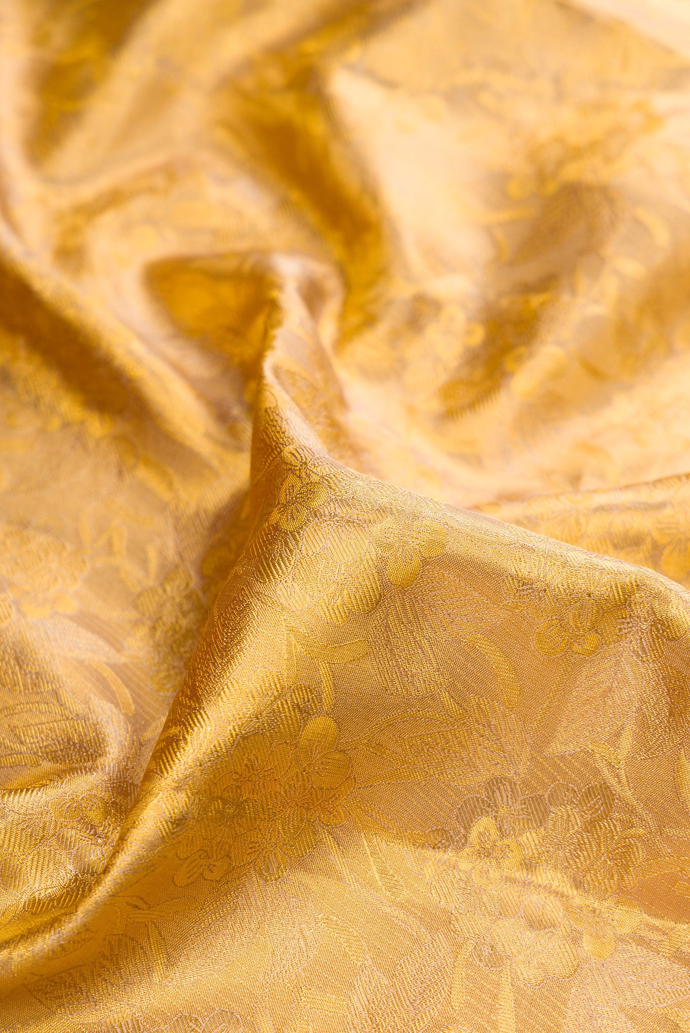 Close up of Gold Dual Tone Kanchipuram Tissue Silk Saree with Zari Brocade on the body and Zari Border.  displaying folds