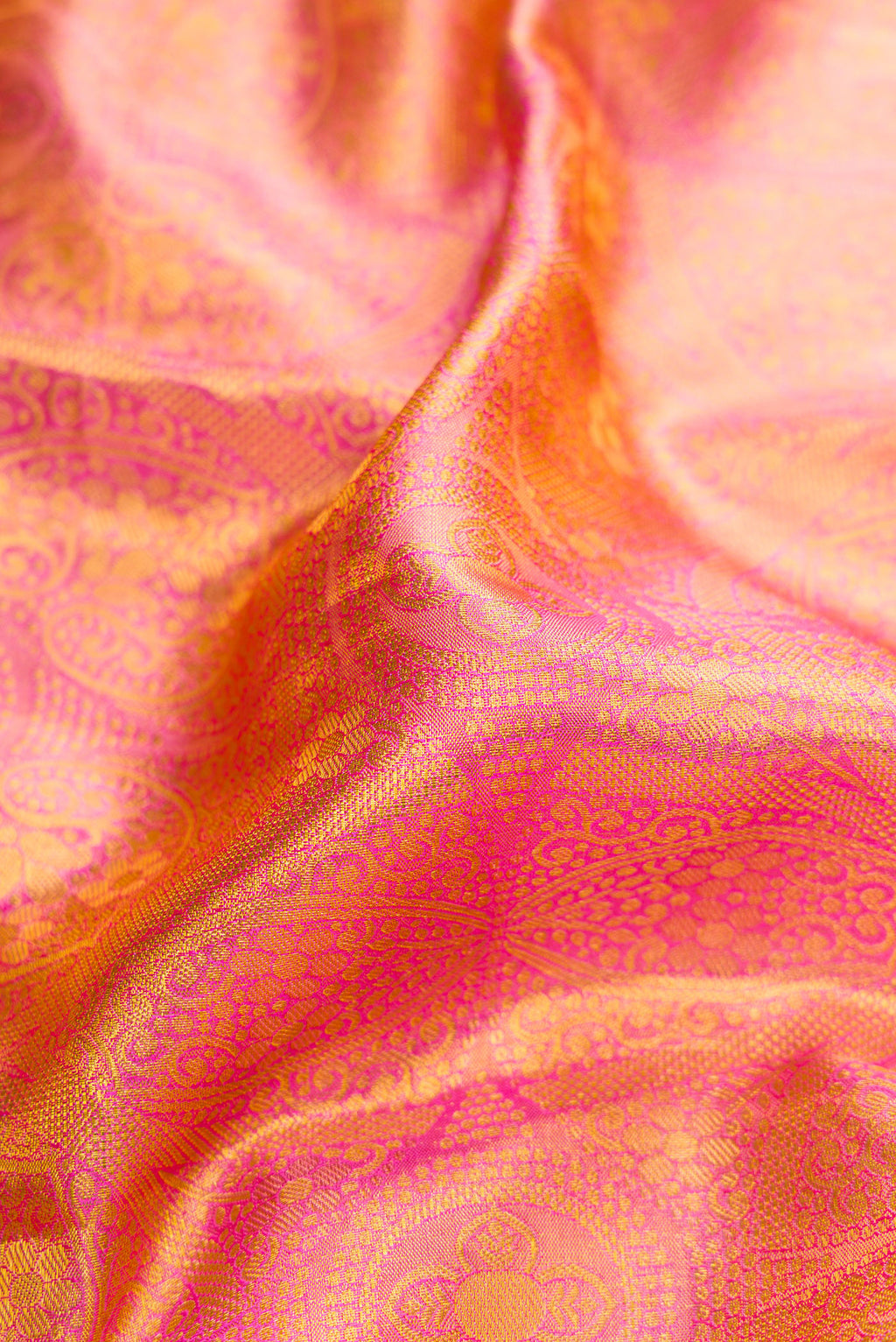 Close up of Pink Dual Tone Kanchipuram Tissue Silk Saree with Zari Brocade on the body and Zari Border.  displaying folds