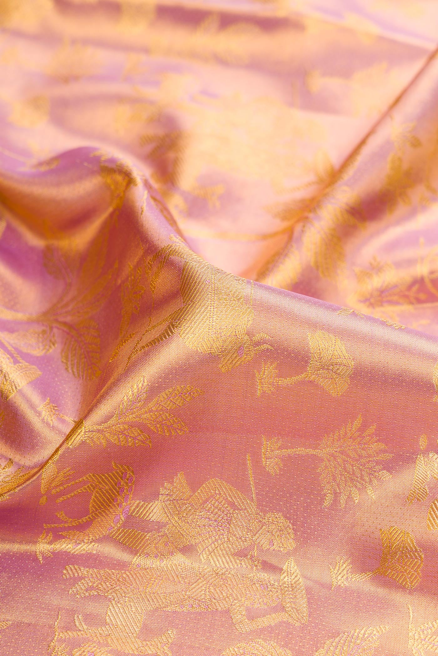 Close up of Rose Gold Dual Tone Kanchipuram Tissue Silk Saree with Zari Brocade on the body and Zari Border.  displaying folds