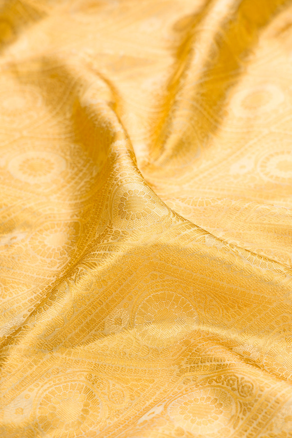 Close up of Gold Kanchipuram Tissue Silk Saree with Zari Brocade on the body and Zari Border.  displaying folds