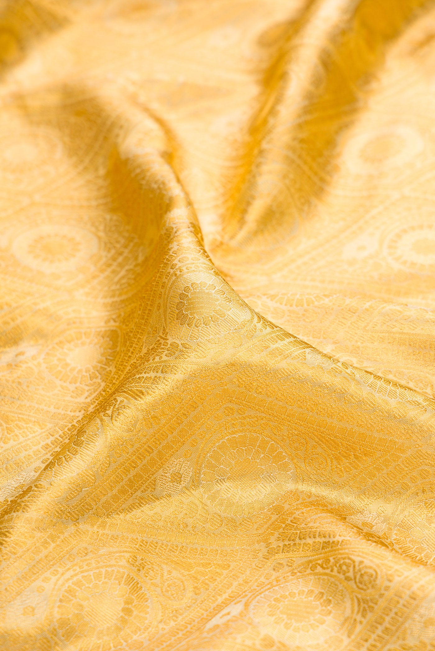 Close up of Gold Kanchipuram Tissue Silk Saree with Zari Brocade on the body and Zari Border.  displaying folds