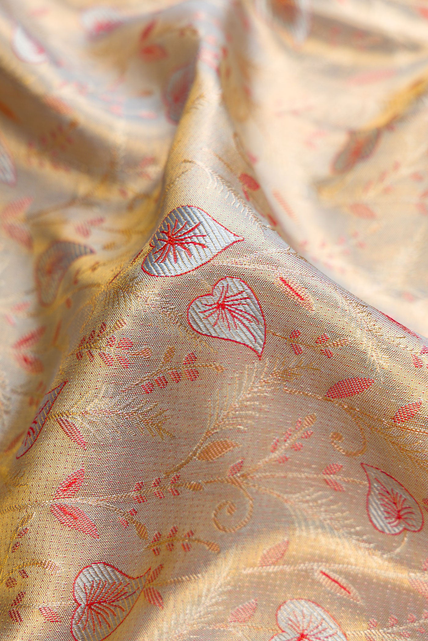 Close up of Light Green Dual Tone Kanjivaram Tissue Silk Saree with Zari Brocade on the body and Fancy Border.  displaying folds